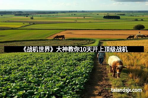 《战机世界》大神教你10天开上顶级战机